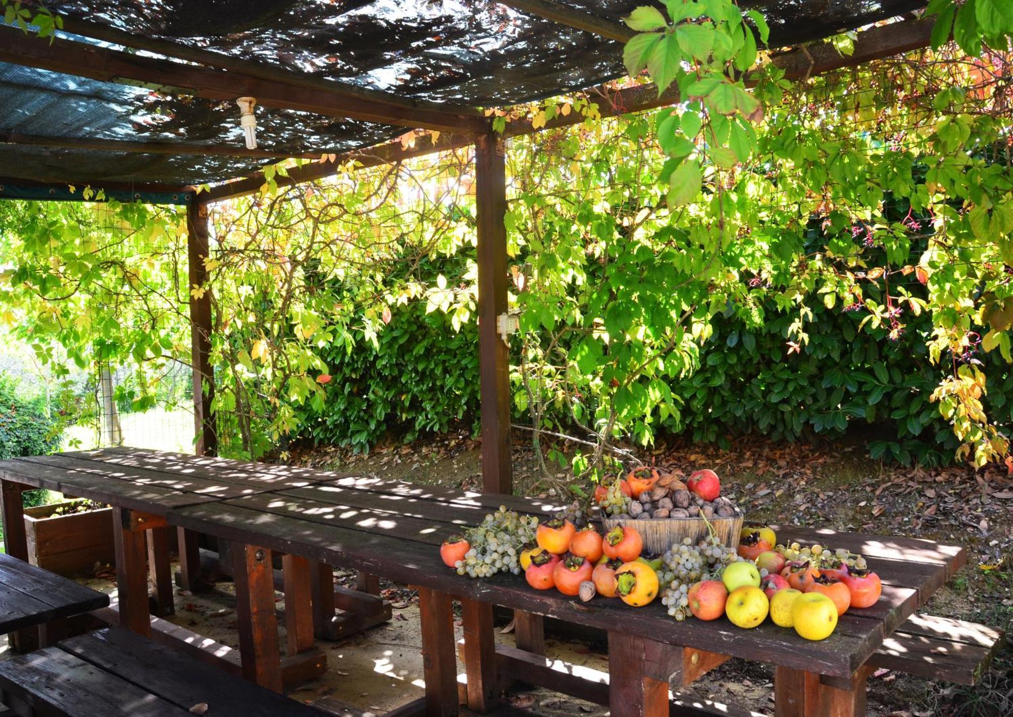 Country House Nonna Rana Cannara Extérieur photo